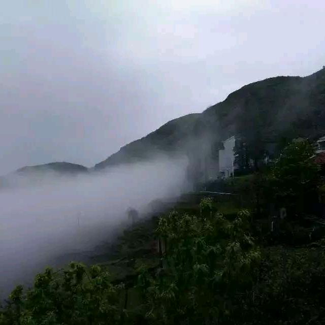 💐🌾一切随缘🌾💐