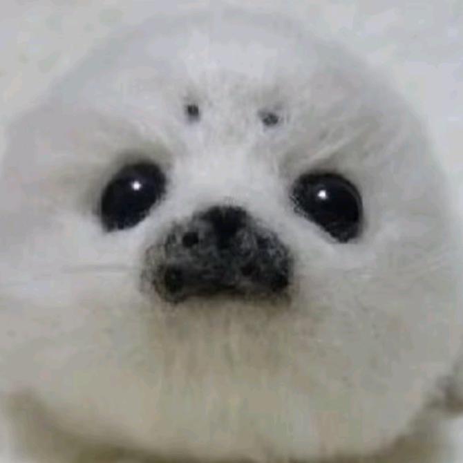 guugcutuct