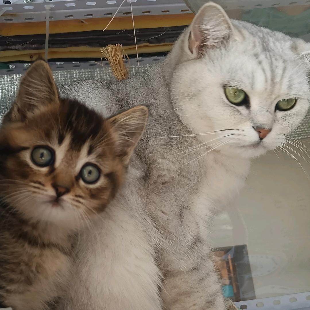 我和我的流浪小伙伴