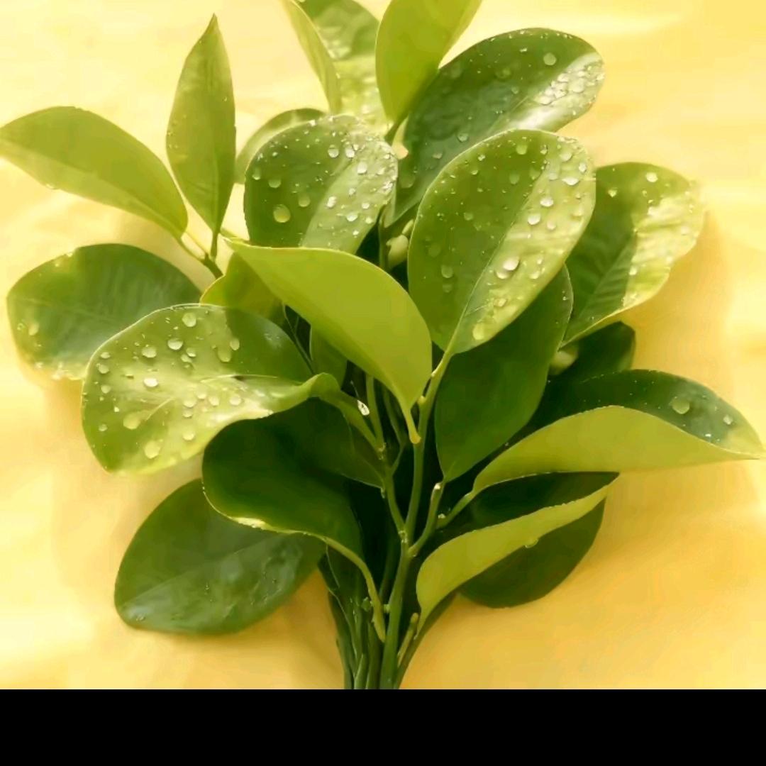 এ⁵ღ᭄郑一亿ღ᭄ꦿ