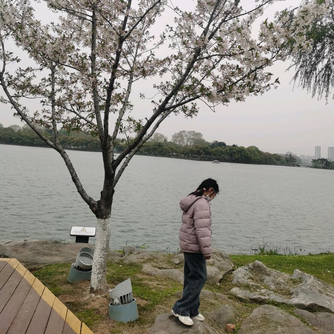 晓蕗123