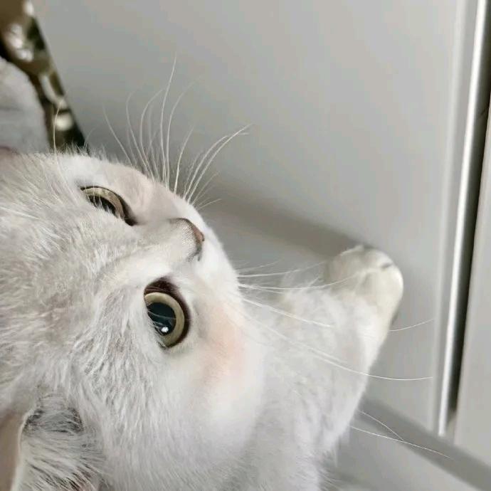 凡尘（玩马超的高手）