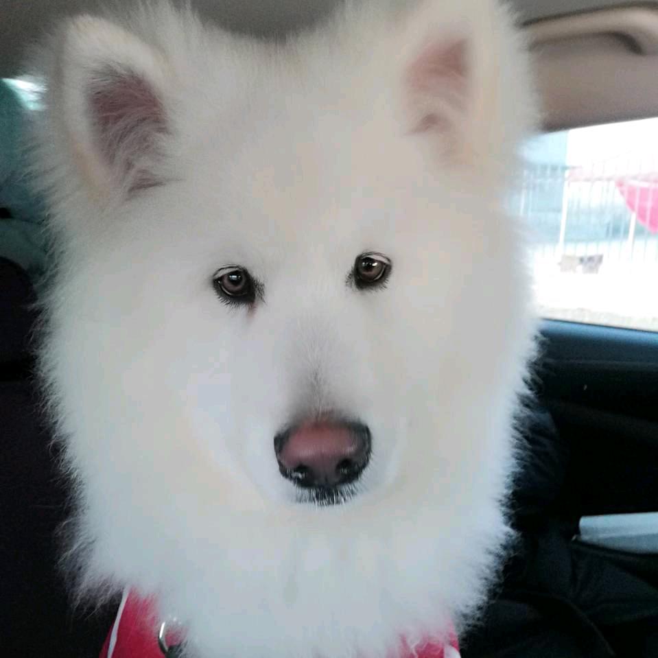 金萝优选翔芩哒百货