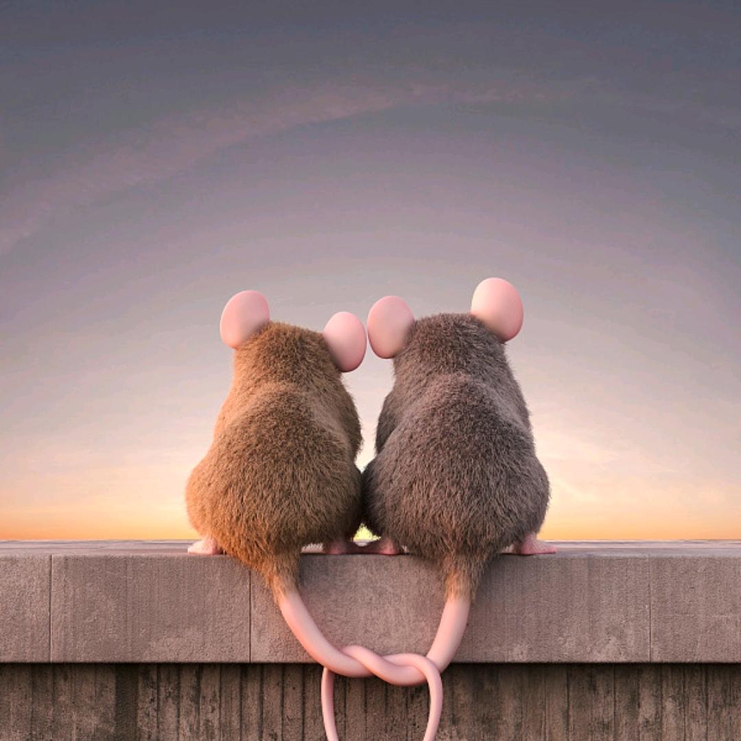 今生陪你一起走