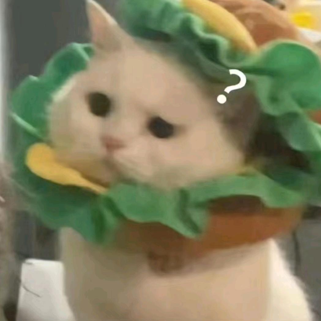 睡到下一周
