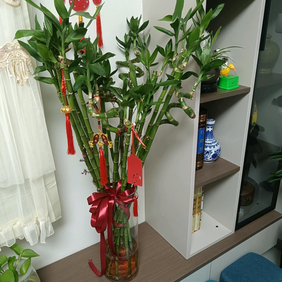 @诺@……