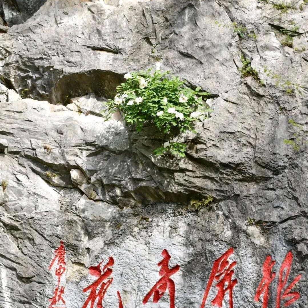 明年东山在起💪💪💪