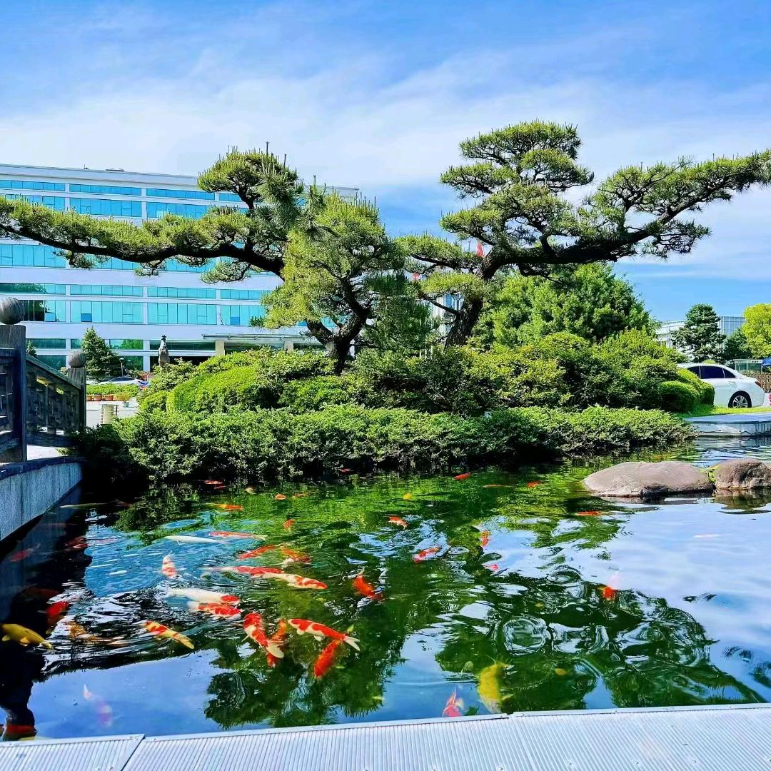 散养兔养殖基地，长顺