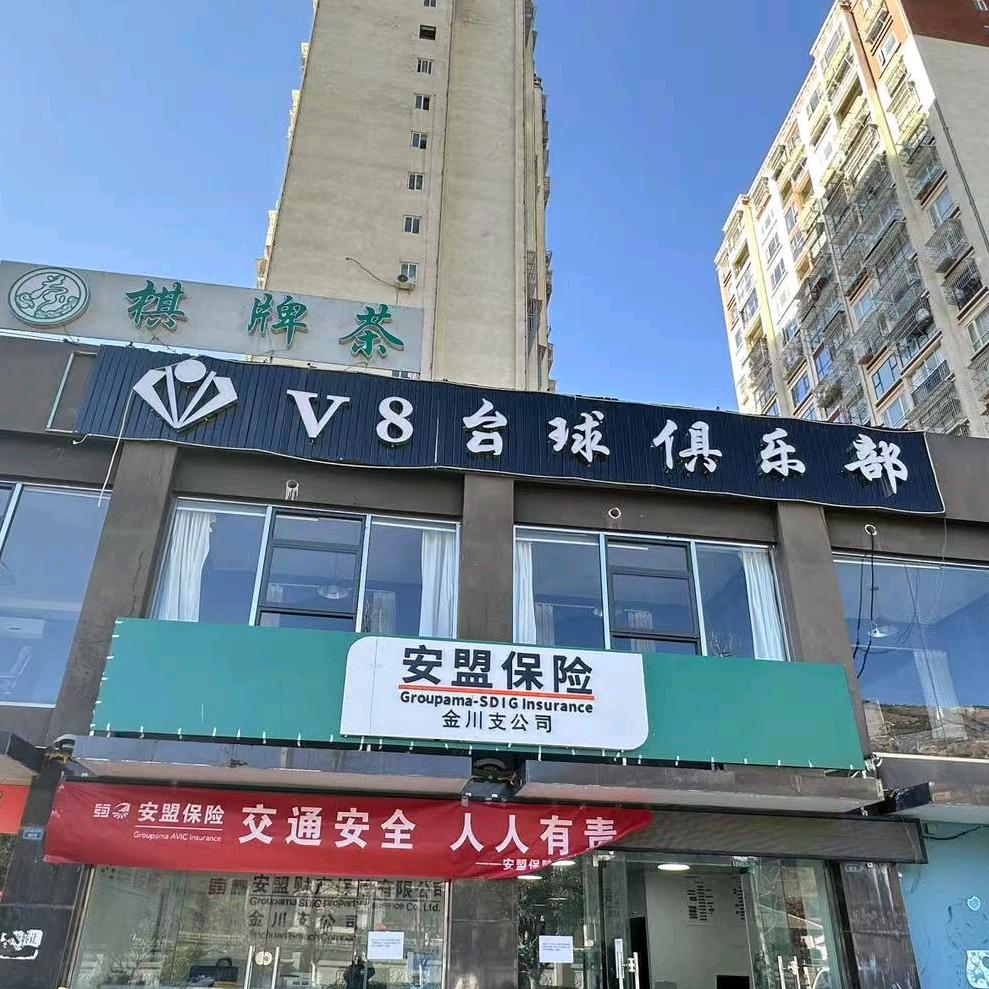 V8 台球俱乐部
