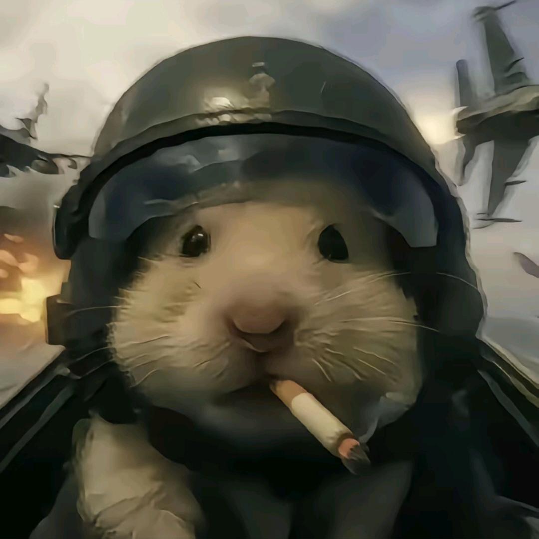 晨桑不想丸辣
