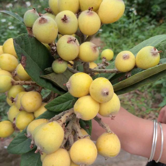 @ഒᩚ᭄笑着の退场᭨ᮩ໊ഒᩚ࿐: ഒᩚ