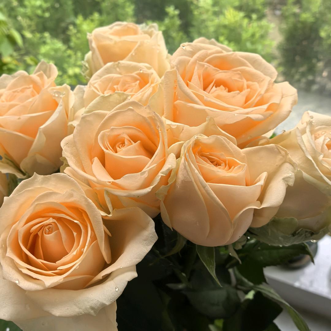 熙熙的宝藏清单