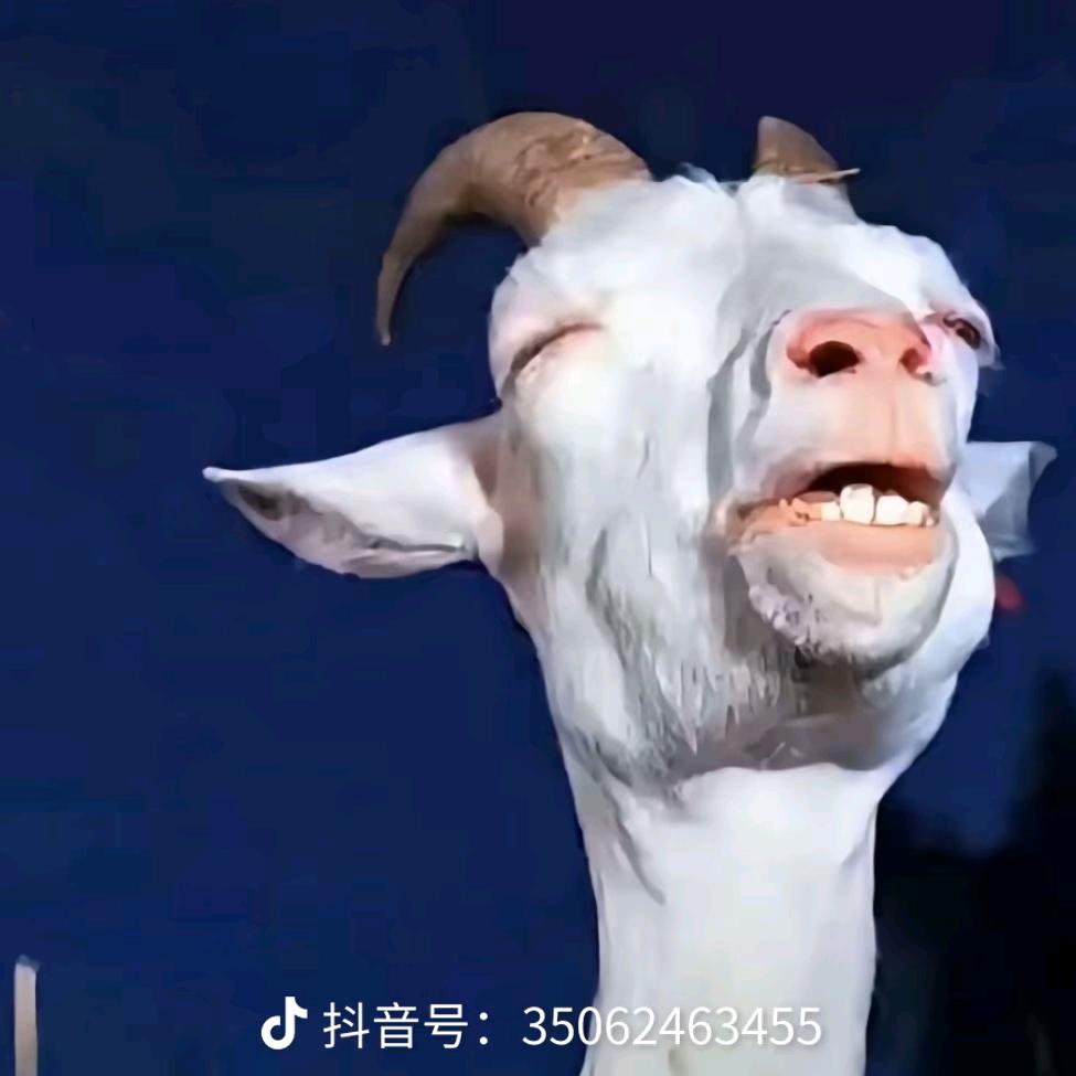 华仔→