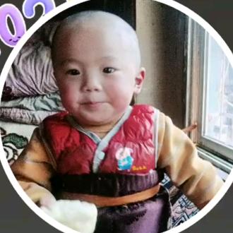 🌹🌷💐🥀🌳🌴🌲🌻