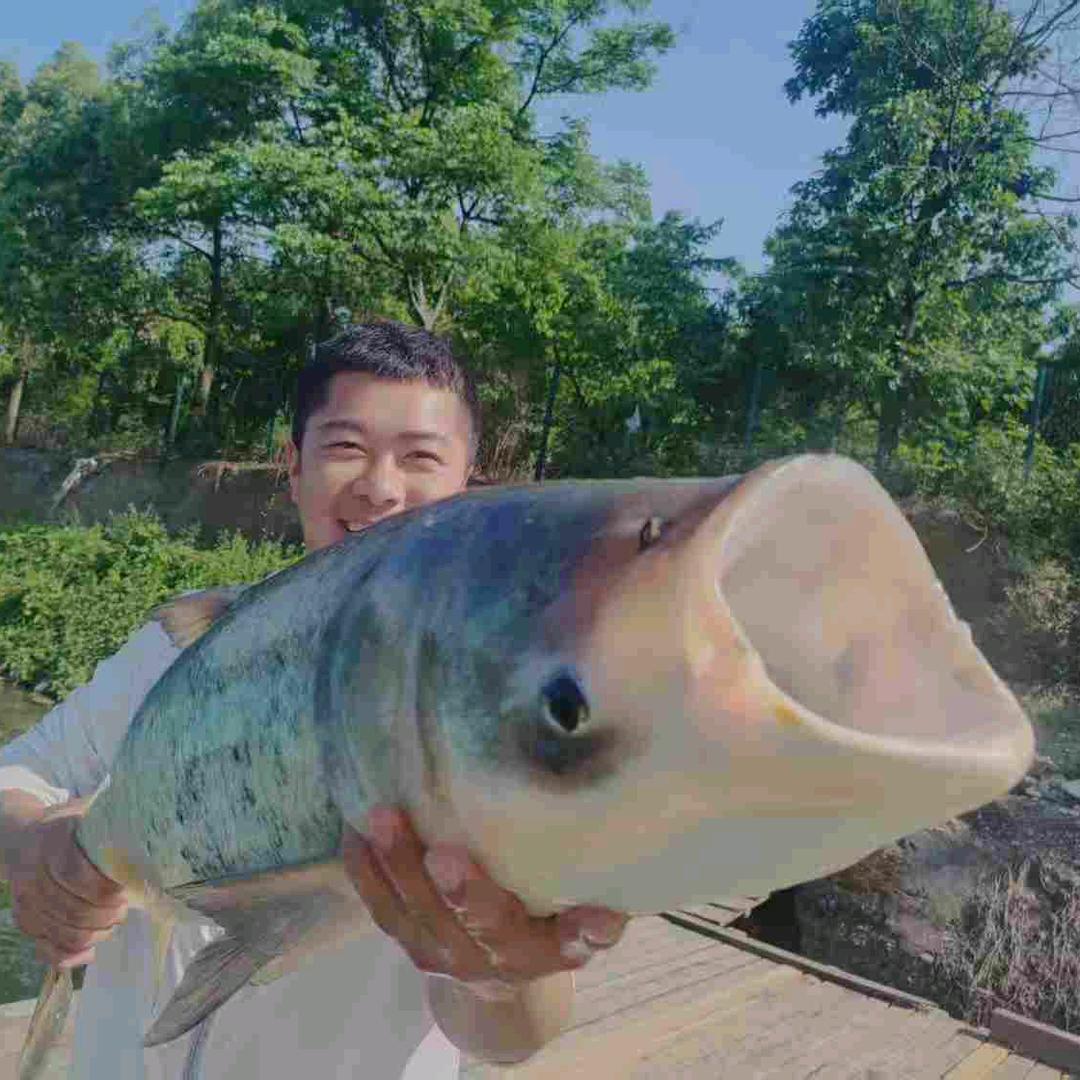 老仙人
