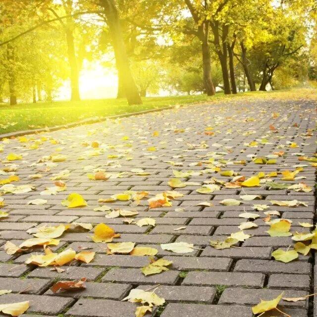 相逢何必曾相识