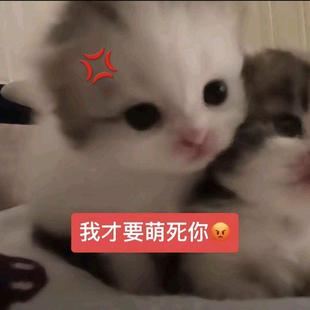 沫蔭