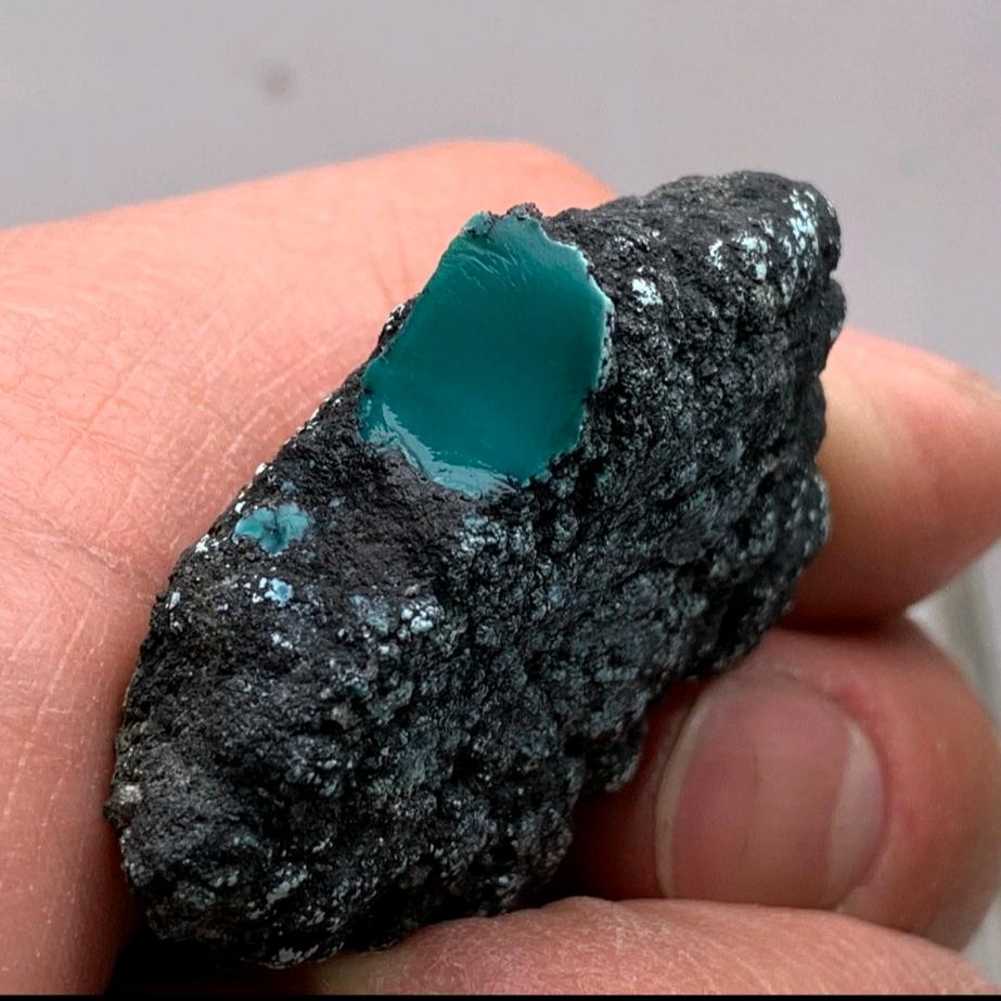 Turquoise