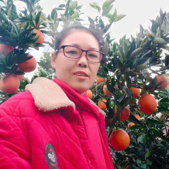 仲阳        恩秭雲阳柳荷尔