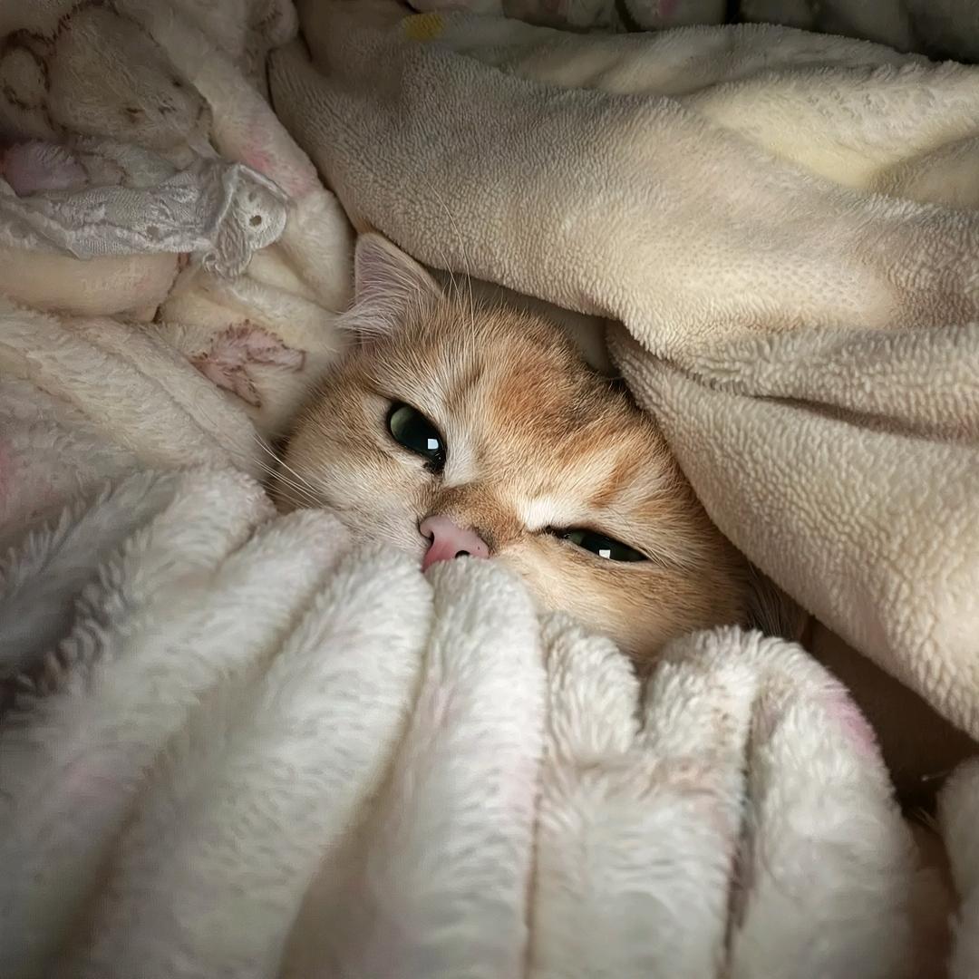 早上好