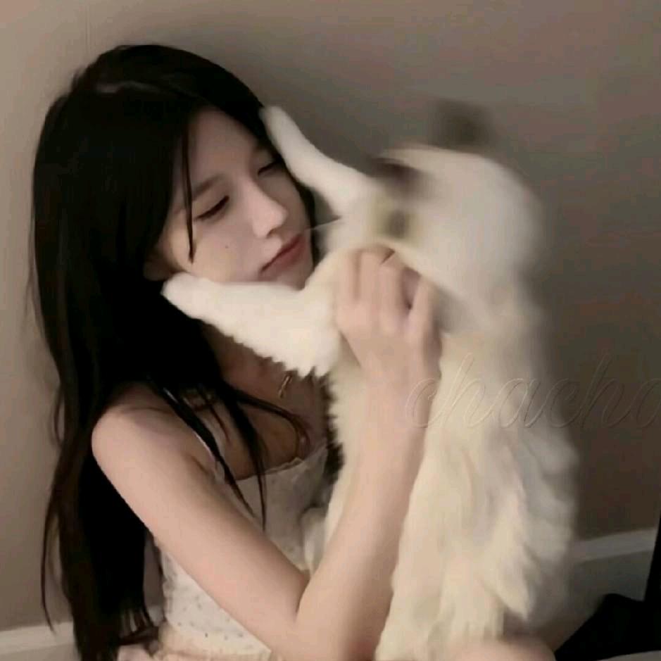 诗琪头像