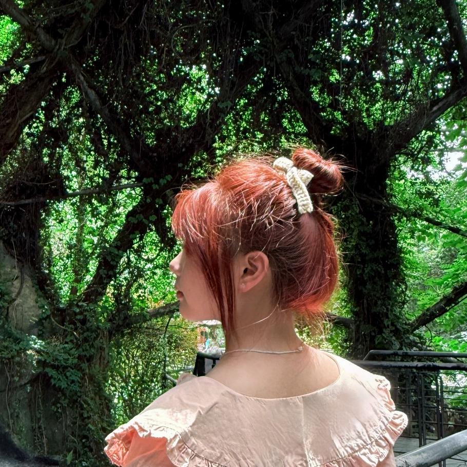 Lॱᯅॱiu我想回嘉