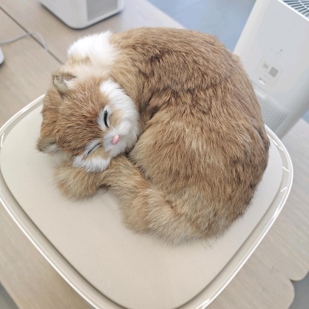 爱吃削面
