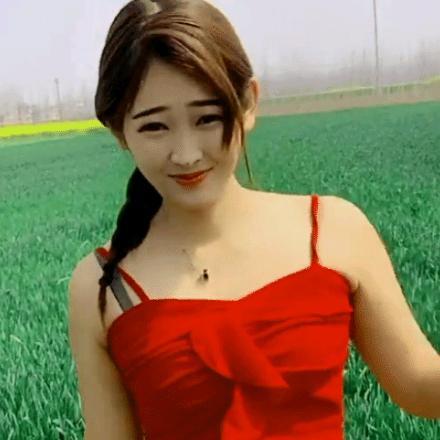 花儿还是那样红