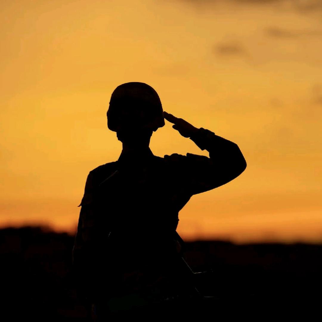 学养🐂的兵哥哥