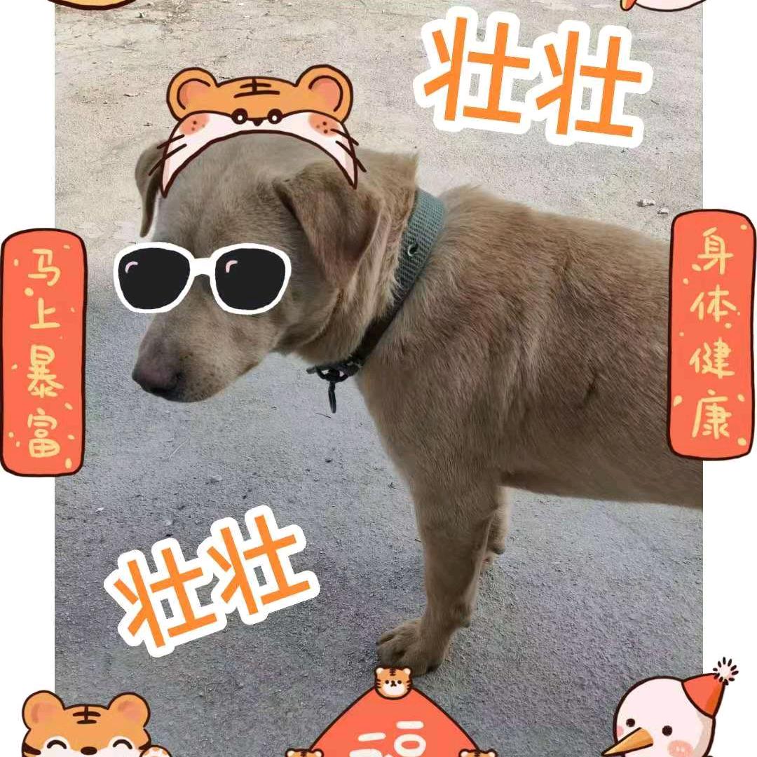 小胡