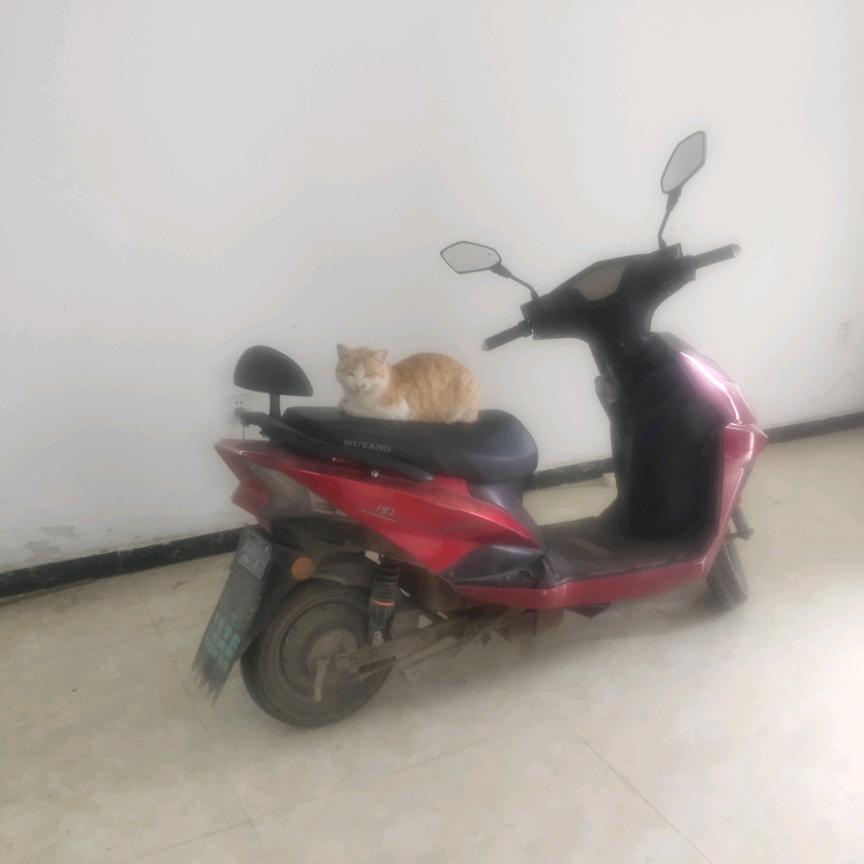孤生一人