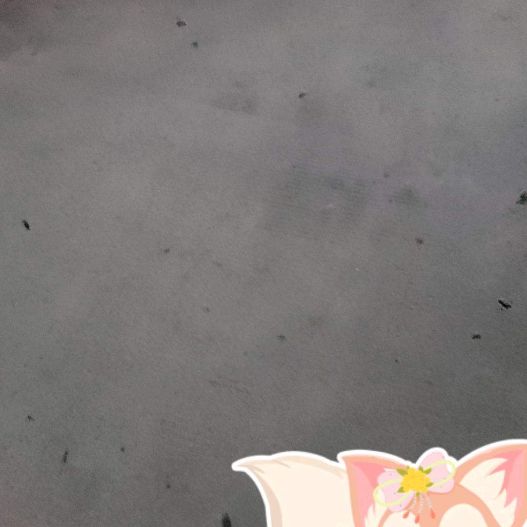 天天开心，身体健康