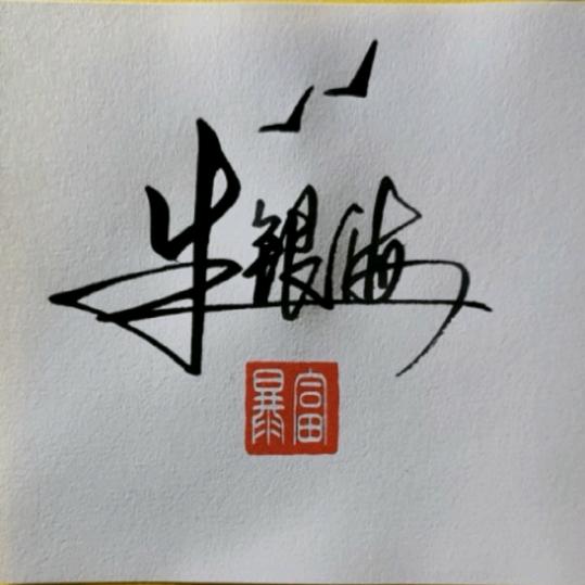 奋斗哥（911）