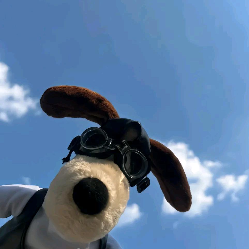 A马