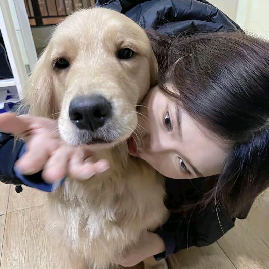 白天睡不醒晚上睡不着