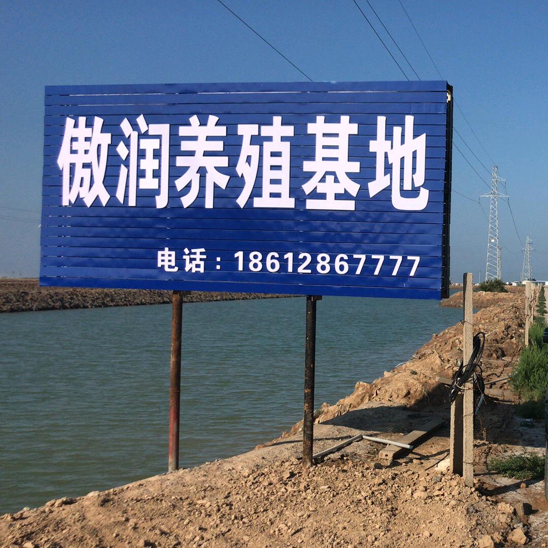 北京海参哥