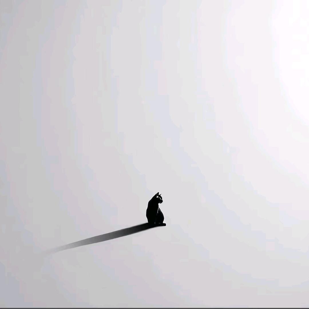 陈陈👾