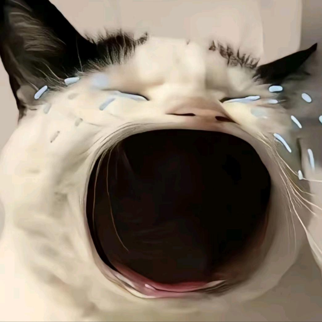 ·睡个好觉💤