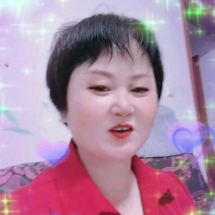 灰鸽子