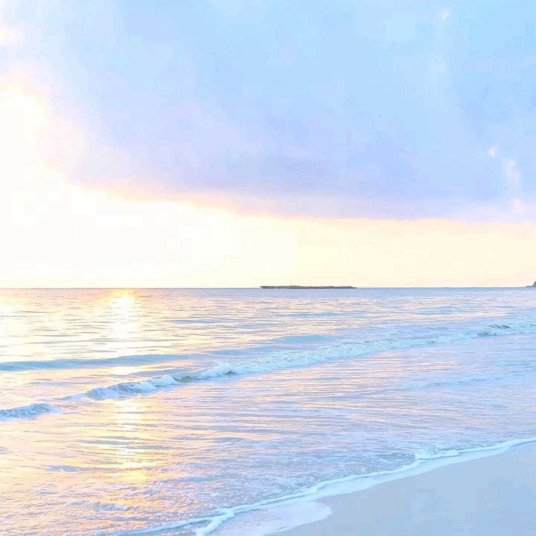 専屬✧٩(ˊωˋ*)و✧