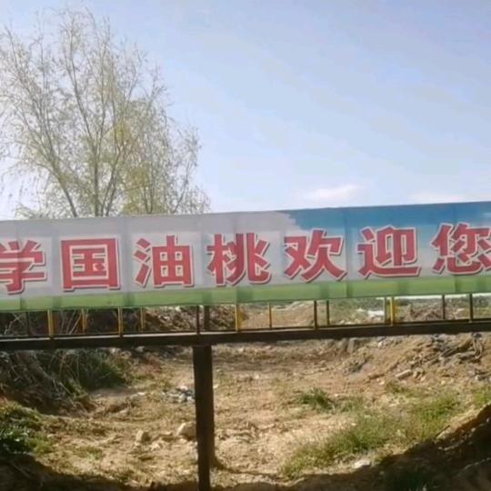 学国果蔬