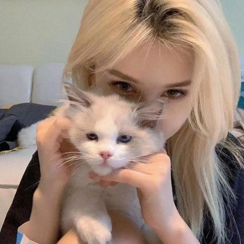 弹幕界的一把剑