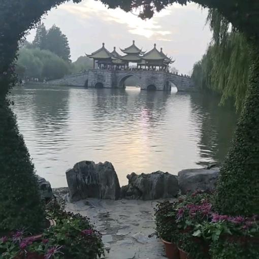 龙🐉行大运，鲍连松主场🫵