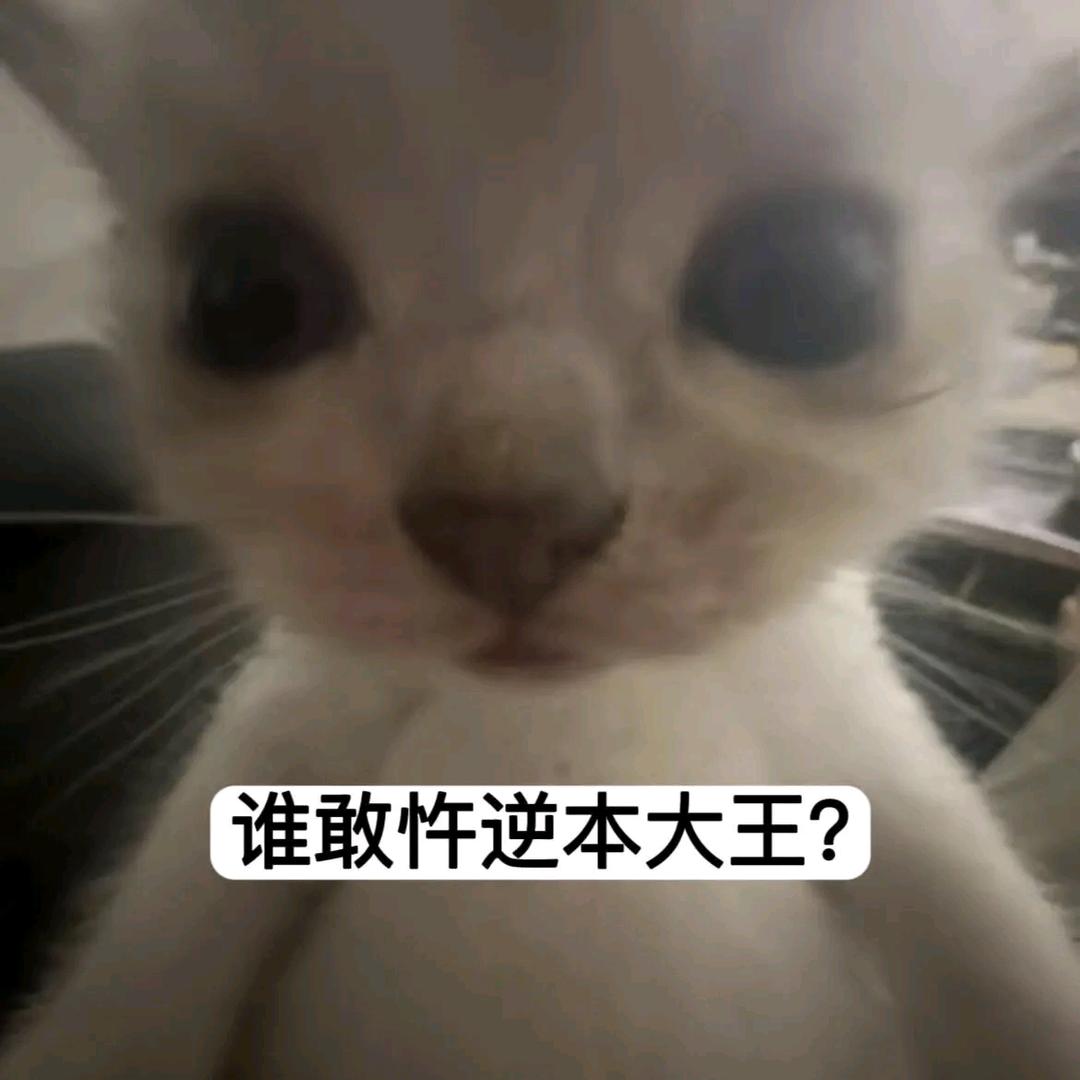 放弃在互联网争论