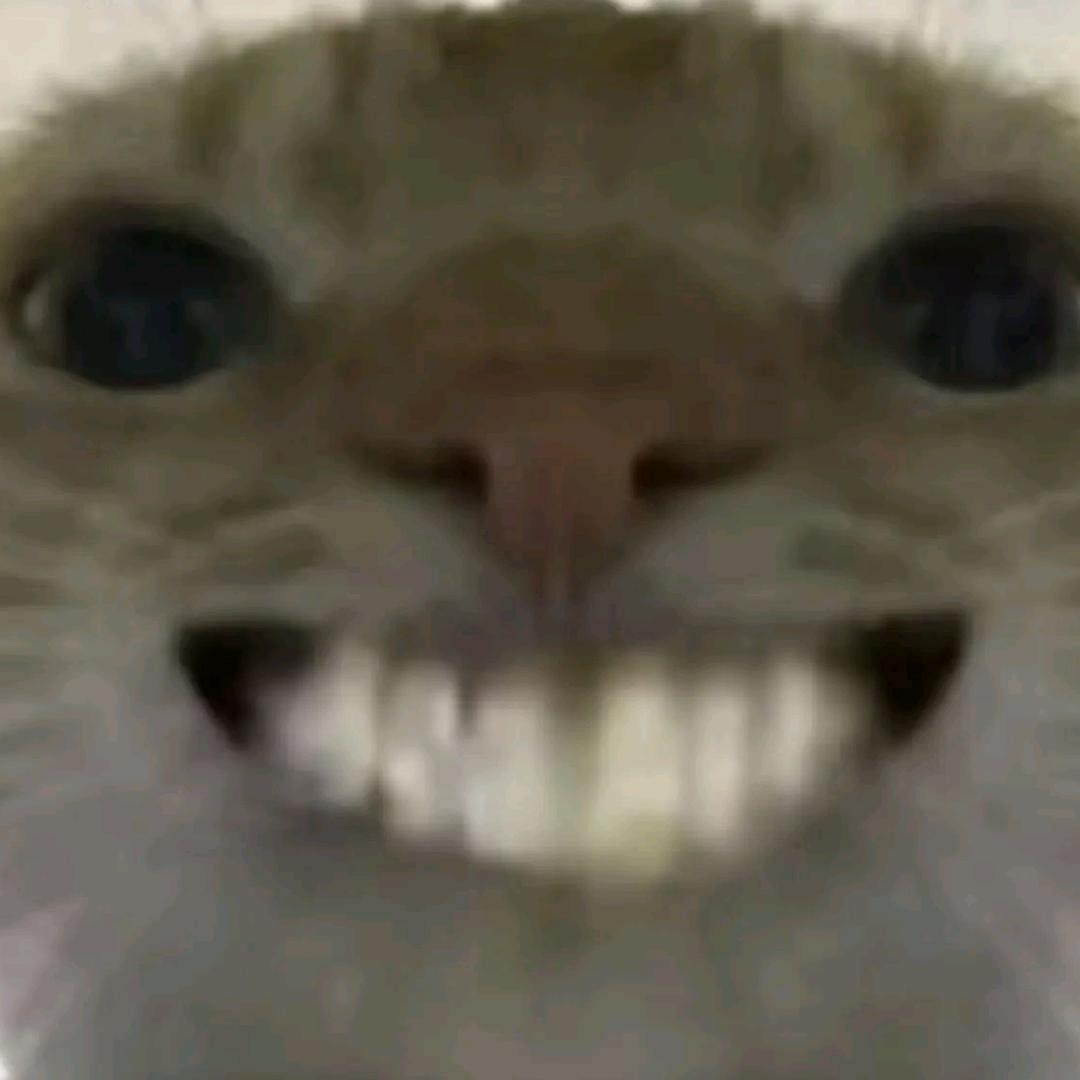 阿喵（三角洲）🐱
