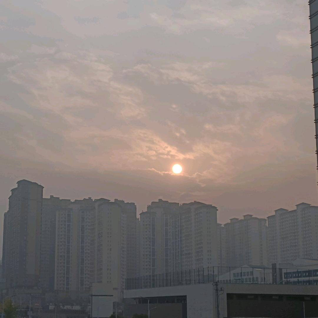 今年就发财