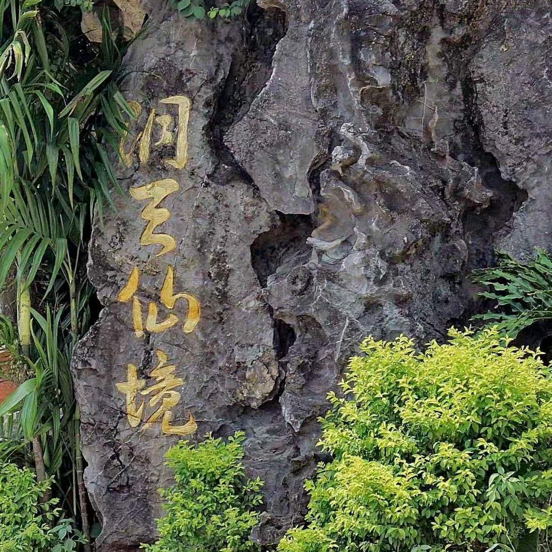 曾经的梦想