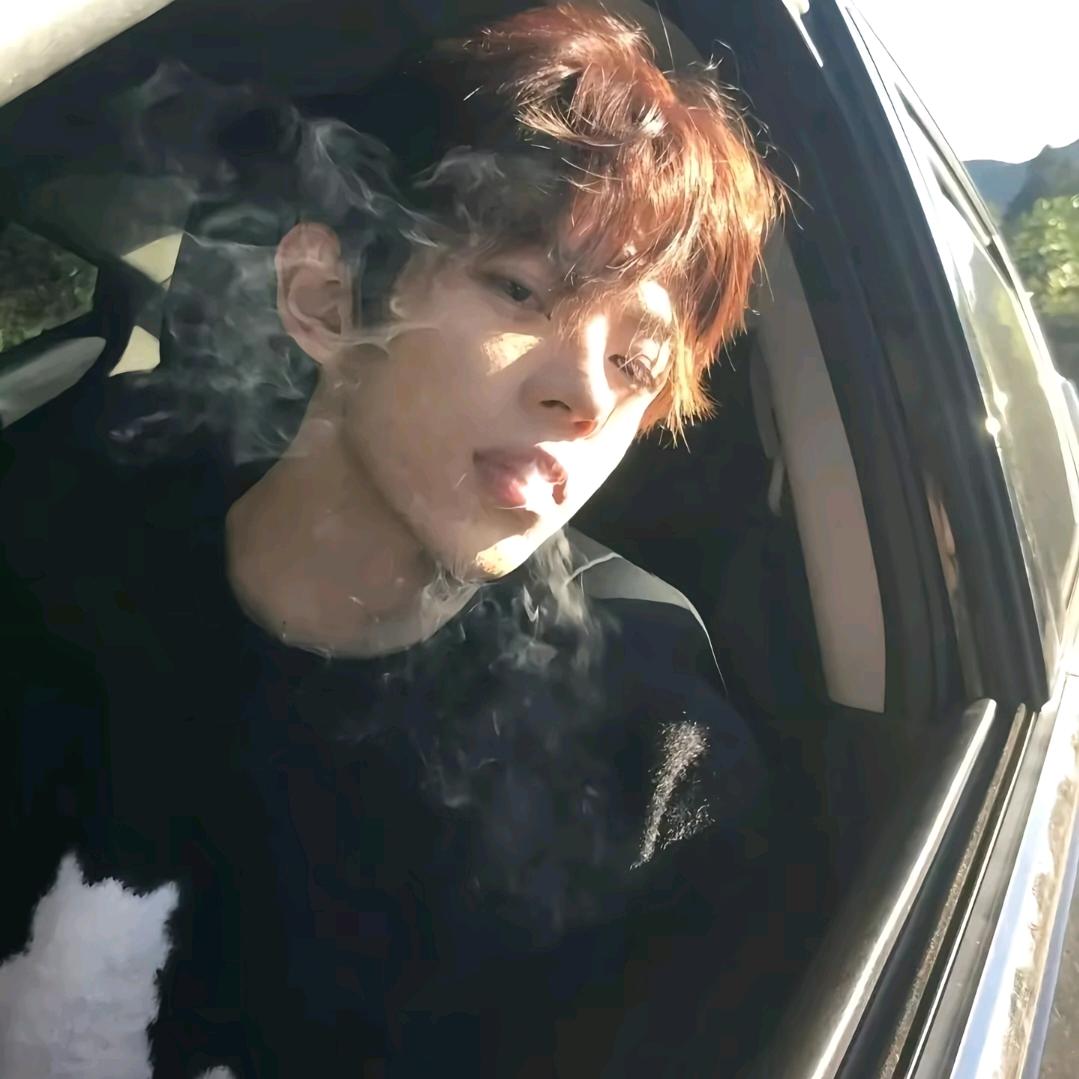 斑马睡了吗