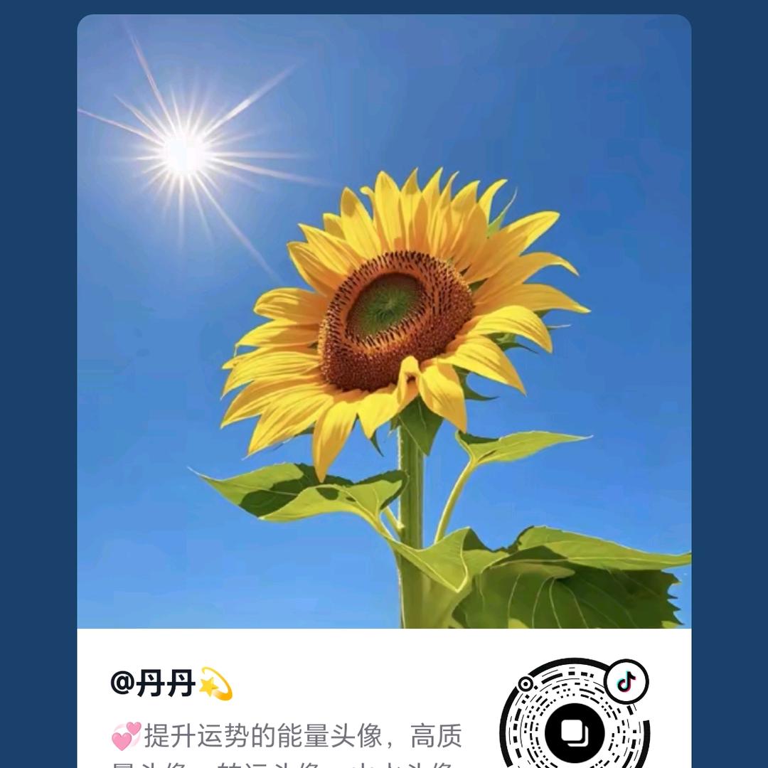 1111