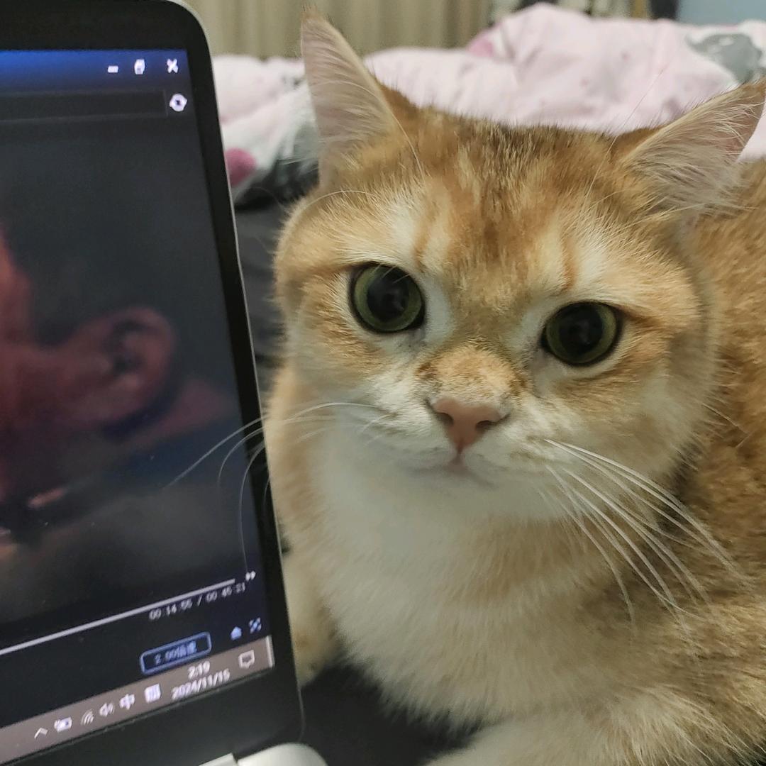 暑暑
